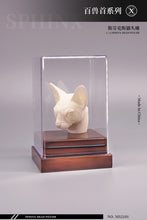 1/6 Scale of Animals Series Mostoys Animals Headscuplt and Accessories (PRE-ORDER)