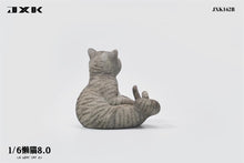 1/6 Scale of Lazy Cat 8.0 JXK162A/B/C/D by JXK (Pre-Order)