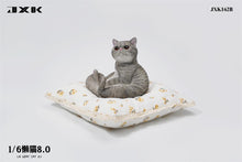 1/6 Scale of Lazy Cat 8.0 JXK162A/B/C/D by JXK (Pre-Order)