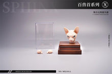 1/6 Scale of Animals Series Mostoys Animals Headscuplt and Accessories (PRE-ORDER)