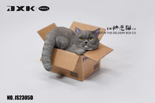 1/6 Scale of the cat in the delivery box 3.0 JS2305 by JXK ( PRE-ORDER )