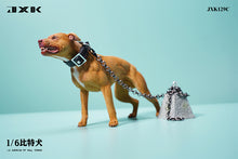 1/6 Scale of American Pit Bull Terrier by JXK (IN-STOCK)