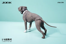 1/6 Scale of American Pit Bull Terrier by JXK (IN-STOCK)